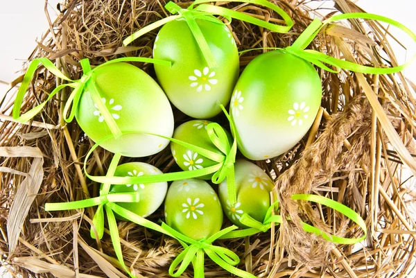 Húsvéti tojás a fészekben — Stock Fotó