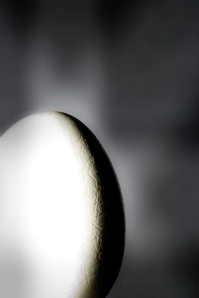 stock image Egg in light and shadow