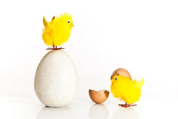 Húsvéti tojás és csirke — Stock Fotó
