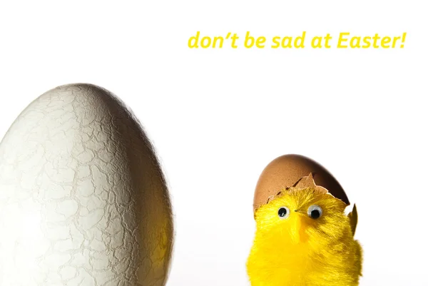 Великоднє яйце і курка — стокове фото
