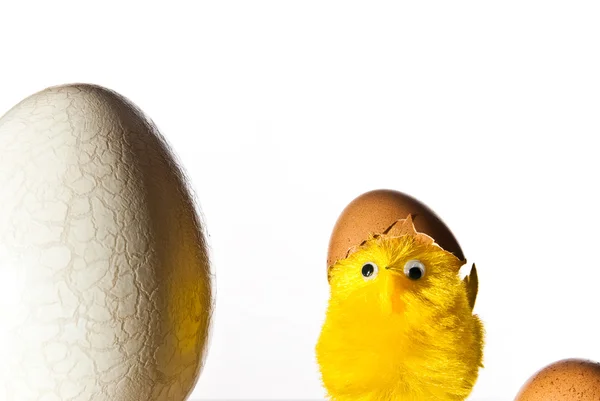 Πασχαλινό αυγό και κοτόπουλο — Φωτογραφία Αρχείου