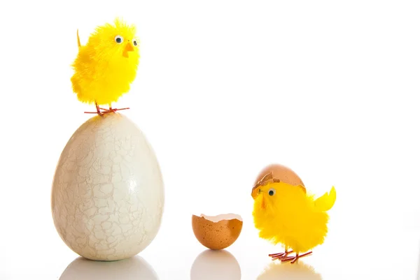 Velikonoční vejce a kuřata — Stock fotografie