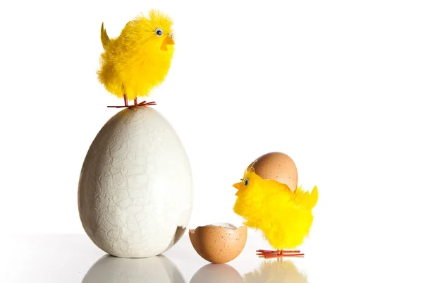 Huevo de Pascua y pollos — Foto de Stock
