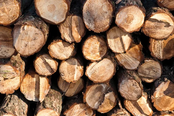 Montón de vigas de madera — Foto de Stock