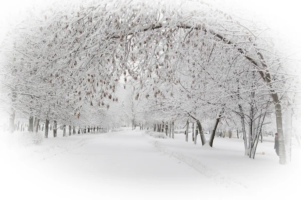 Kış aylarında Rusya