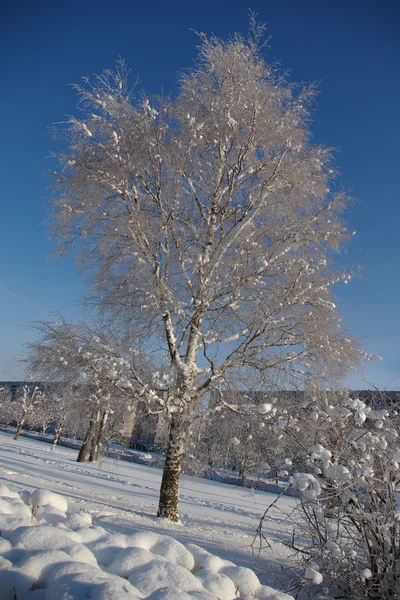 Kış aylarında Rusya
