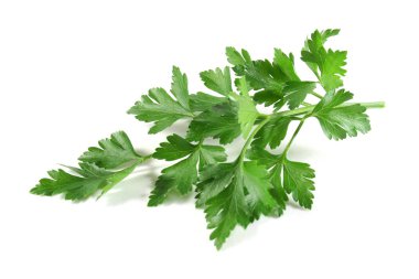 Lovage clipart