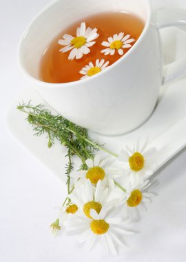 Chamomile tea clipart