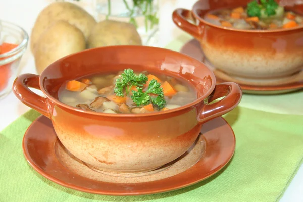 stock image Wild mushroom soup