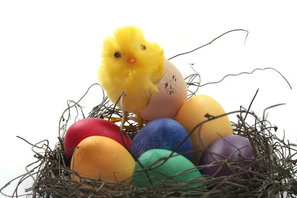 Cesta de Páscoa com ovos e pintos — Fotografia de Stock