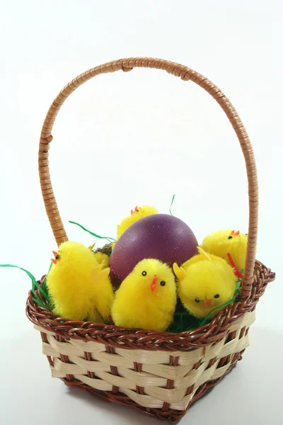 Cesta de Páscoa com ovo de Páscoa e pintos — Fotografia de Stock