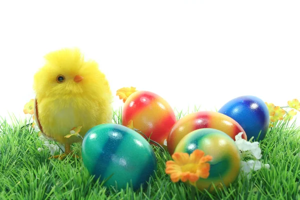 Ovos de Páscoa e pintos em um prado — Fotografia de Stock