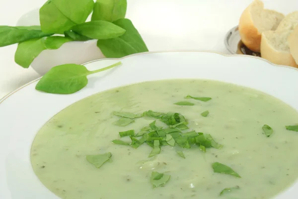 Herbs soup — Stock Photo, Image