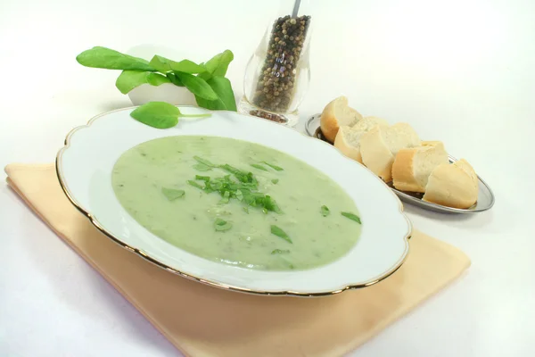 stock image Herbs soup