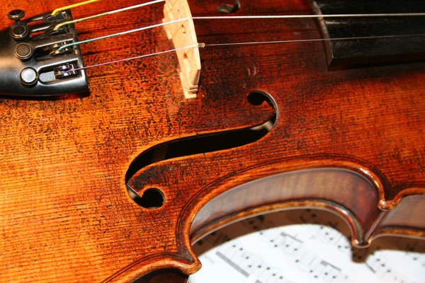 Violin on the notes — Stock Photo, Image