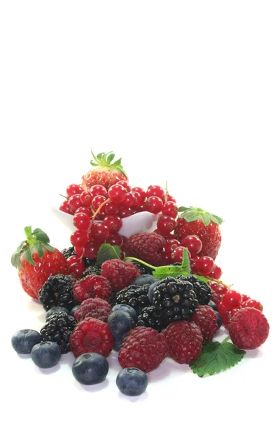 Различные ягоды — стоковое фото