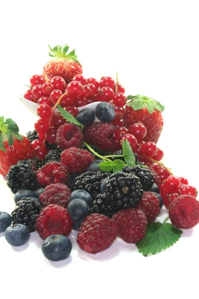 不同的莓果 — 图库照片