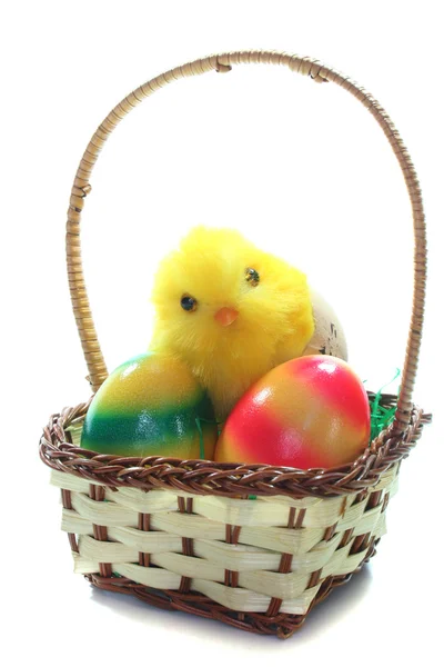 Cesta de Páscoa com ovos e pintos — Fotografia de Stock
