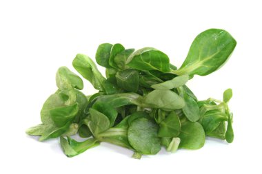 Field salad clipart