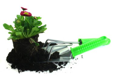 bahar çiçekleri ile Bahçe