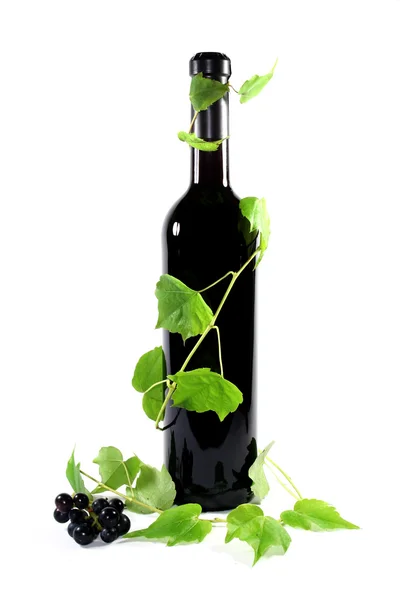 stock image Rotwein