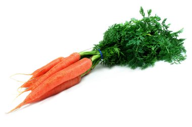 Carrotts clipart