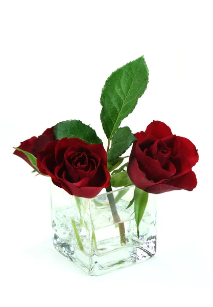 Růže kytice — Stock fotografie