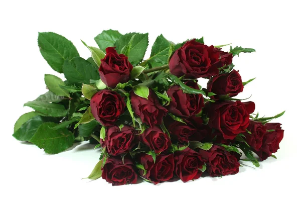 Červené růže — Stock fotografie