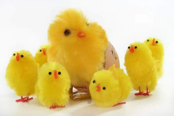 Easter Chicks — Stockfoto