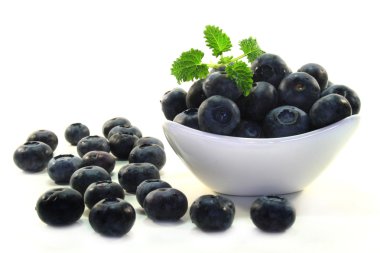 Blueberries clipart