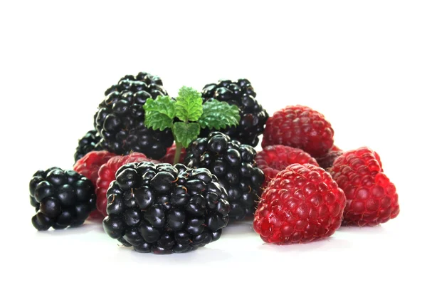 검은 딸기와 라스베리 — 스톡 사진