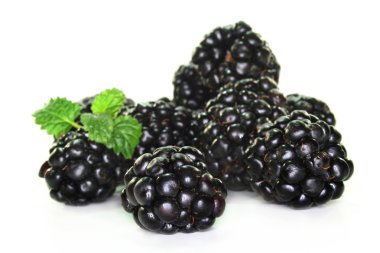 Blackberries clipart