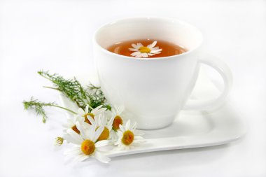 Chamomile tea clipart