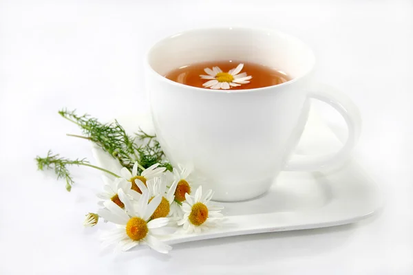 Чай з чебрецем — стокове фото