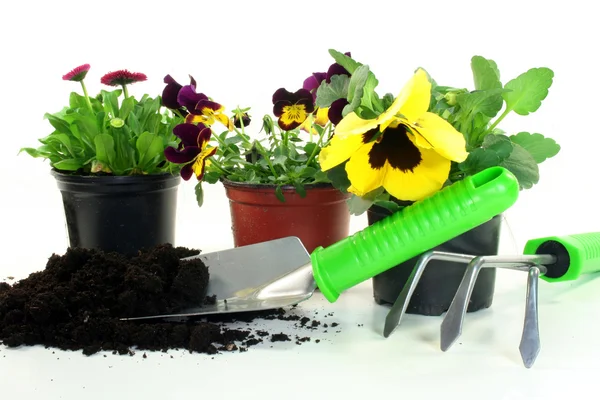 stock image Gardening