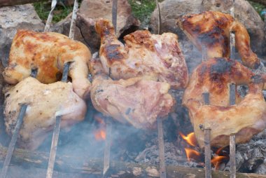 iştah açıcı ızgara tavuk kebabı