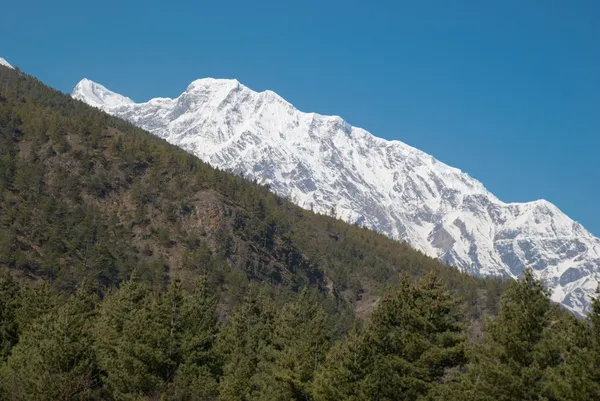 チベットの山は雪に覆われました。 — ストック写真
