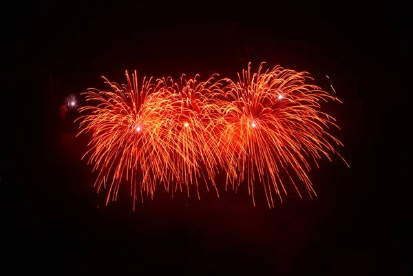 Gyönyörű salute és tűzijáték — Stock Fotó