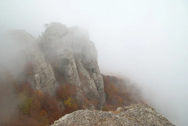 山を霧します。 — ストック写真