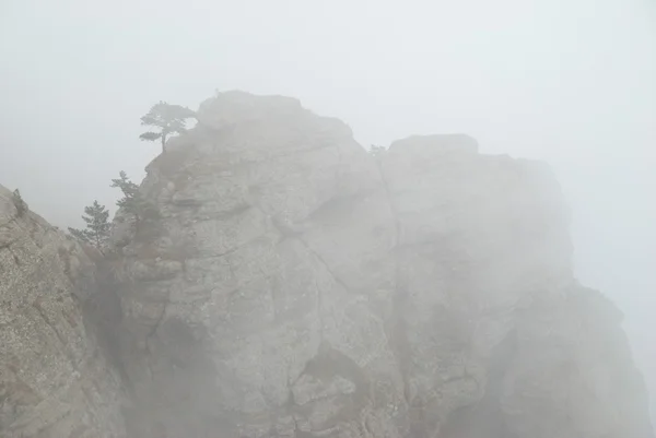 Nebel in den Bergen — Stockfoto