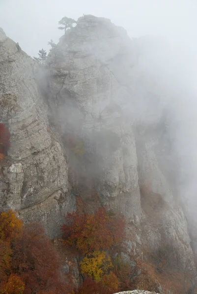 Dimma i bergen — Stockfoto
