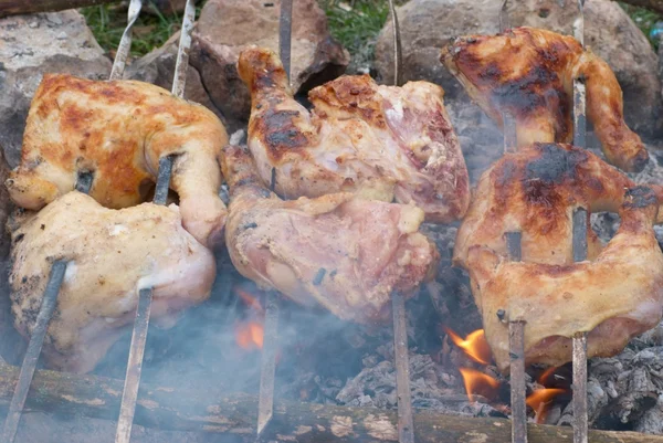 Iştah açıcı ızgara tavuk kebabı — Stok fotoğraf
