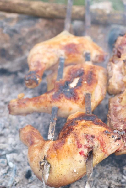 Iştah açıcı ızgara tavuk kebabı — Stok fotoğraf