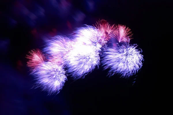 Bellissimi fuochi d'artificio — Foto Stock