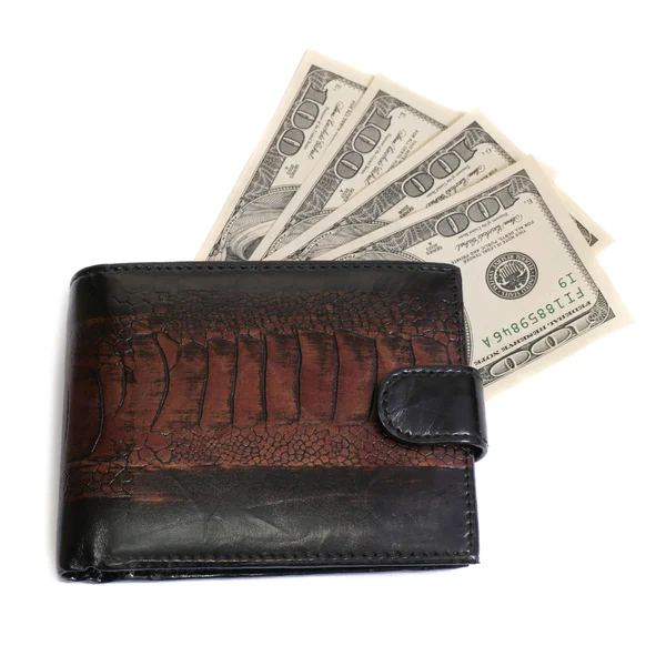 ドルの財布 — ストック写真