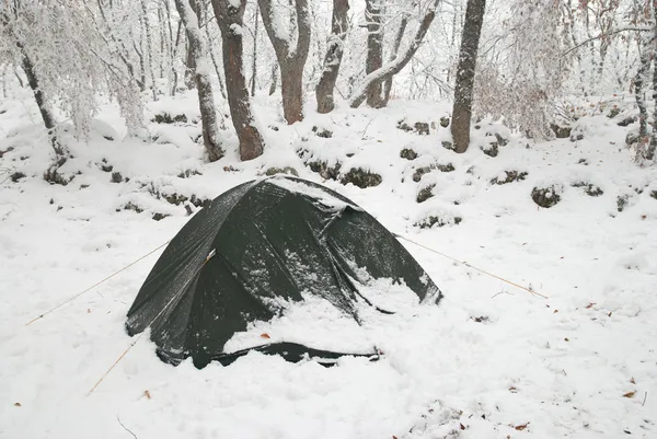 Winter camp in the forest — Stock Photo, Image