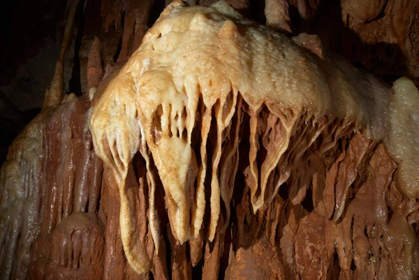 Kamenné medusa v jeskyni — Stock fotografie