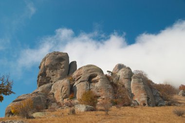 Sonbahar manzarası