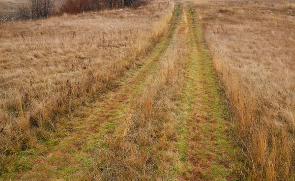 Landweg via het grasveld. — Stockfoto