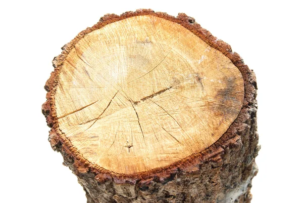 Holzstumpf — Stockfoto